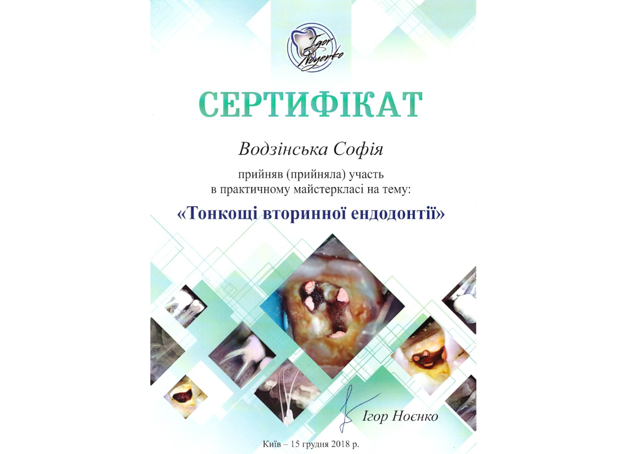 Водзінська Софія